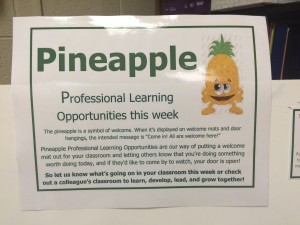 Pineapple Professional Learning at DGS
